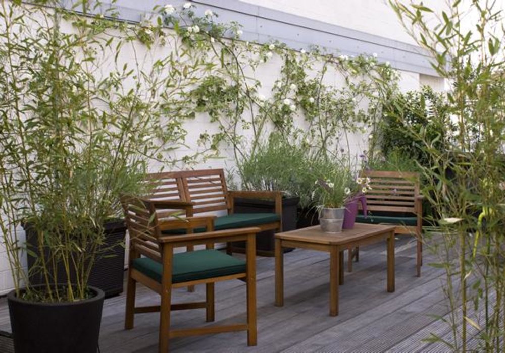 Ý tưởng thiết kế sân vườn sân thượng