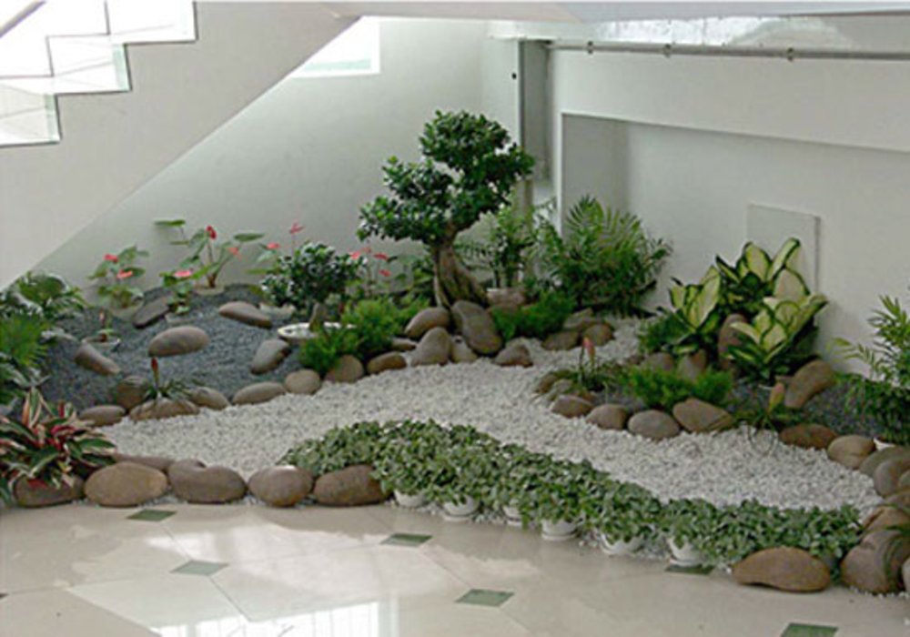 Tiểu cảnh vườn khô